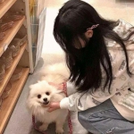 炫彩曲棍球无广告下载